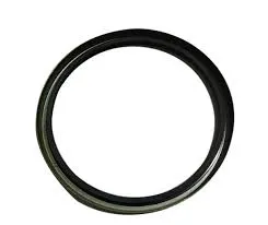 Rear Hub Seal